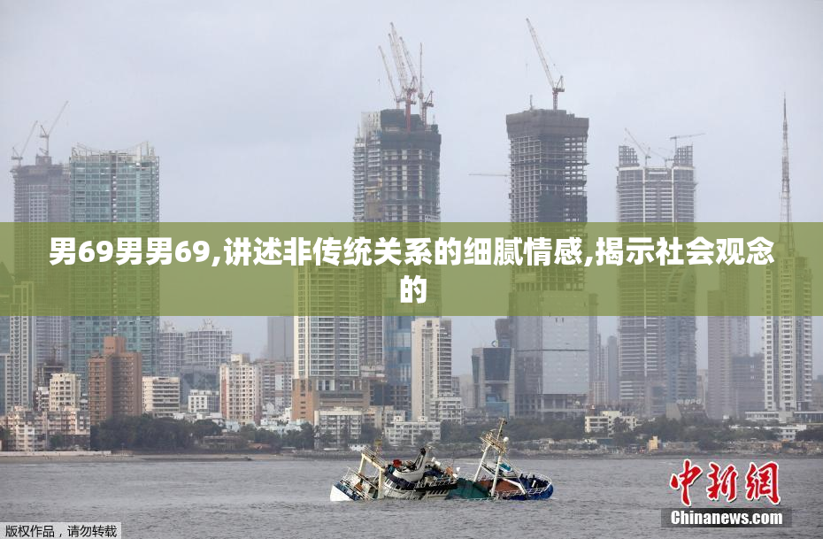 男69男男69,讲述非传统关系的细腻情感,揭示社会观念的