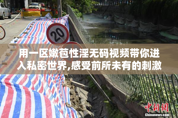 用一区嫩苞性淫无码视频带你进入私密世界,感受前所未有的刺激