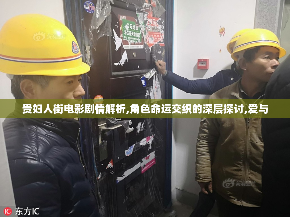 贵妇人街电影剧情解析,角色命运交织的深层探讨,爱与