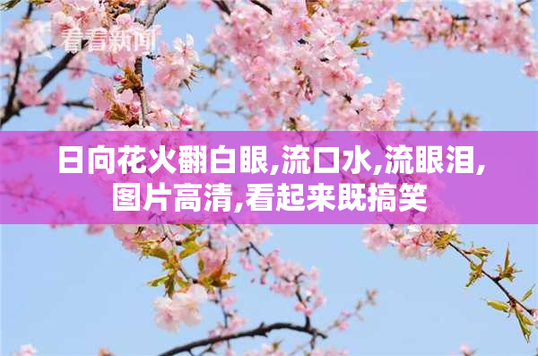 日向花火翻白眼,流口水,流眼泪,图片高清,看起来既搞笑