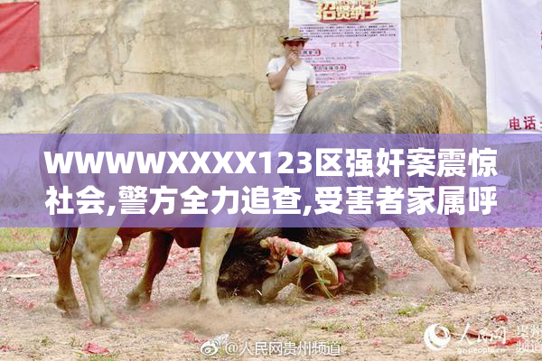 WWWWXXXX123区强奸案震惊社会,警方全力追查,受害者家属呼吁严惩凶手