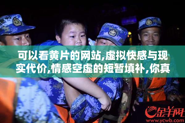 可以看黄片的网站,虚拟快感与现实代价,情感空虚的短暂填补,你真的