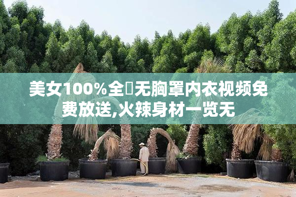 美女100%全祼无胸罩内衣视频免费放送,火辣身材一览无
