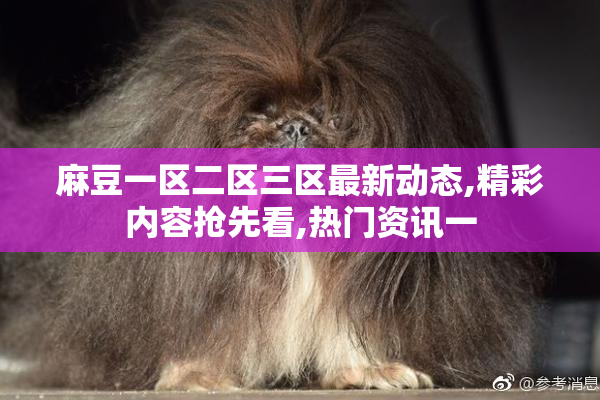 麻豆一区二区三区最新动态,精彩内容抢先看,热门资讯一