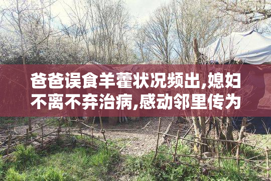 爸爸误食羊藿状况频出,媳妇不离不弃治病,感动邻里传为