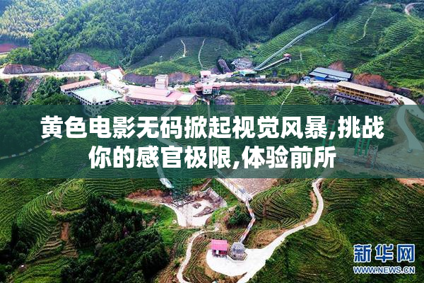 黄色电影无码掀起视觉风暴,挑战你的感官极限,体验前所
