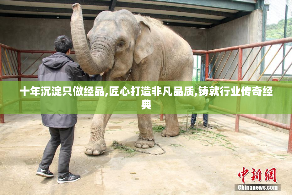 十年沉淀只做经品,匠心打造非凡品质,铸就行业传奇经典