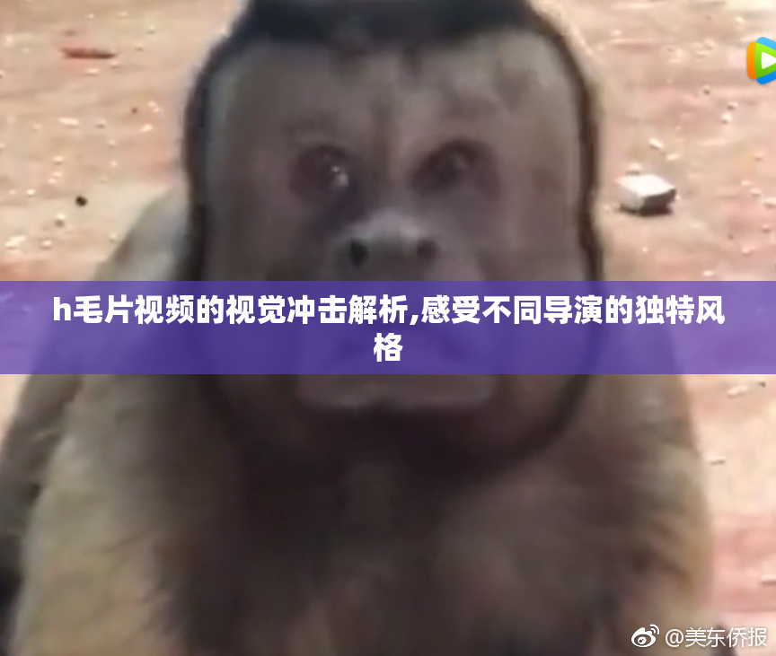 h毛片视频的视觉冲击解析,感受不同导演的独特风格