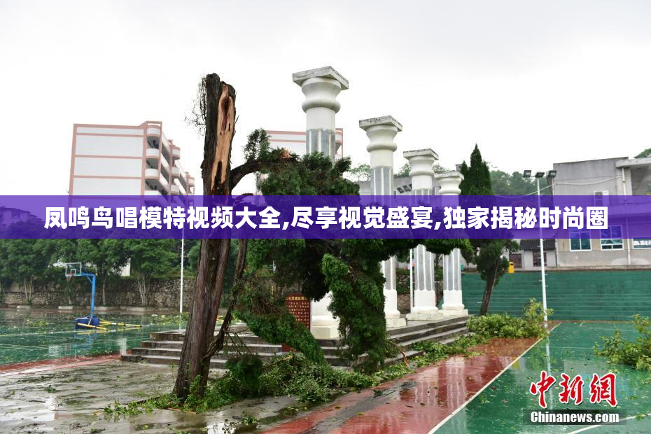 凤鸣鸟唱模特视频大全,尽享视觉盛宴,独家揭秘时尚圈