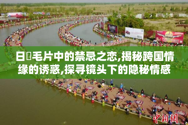 日韓毛片中的禁忌之恋,揭秘跨国情缘的诱惑,探寻镜头下的隐秘情感