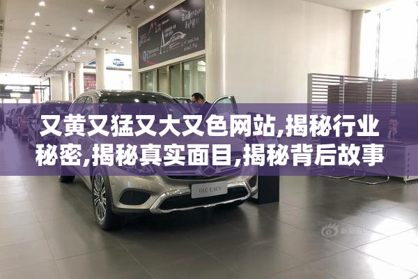 又黄又猛又大又色网站,揭秘行业秘密,揭秘真实面目,揭秘背后故事