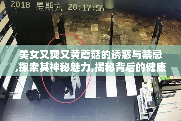 美女又爽又黄蘑菇的诱惑与禁忌,探索其神秘魅力,揭秘背后的健康风险