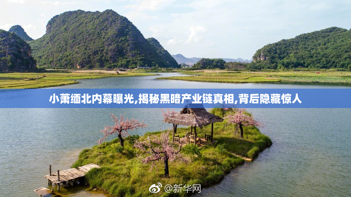 小萧缅北内幕曝光,揭秘黑暗产业链真相,背后隐藏惊人
