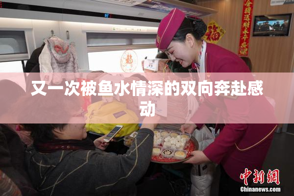 又一次被鱼水情深的双向奔赴感动