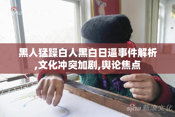 黑人猛躁白人黑白日逼事件解析,文化冲突加剧,舆论焦点