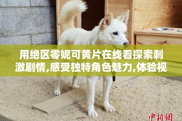 用绝区零妮可黄片在线看探索刺激剧情,感受独特角色魅力,体验视觉
