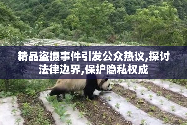 精品盗摄事件引发公众热议,探讨法律边界,保护隐私权成