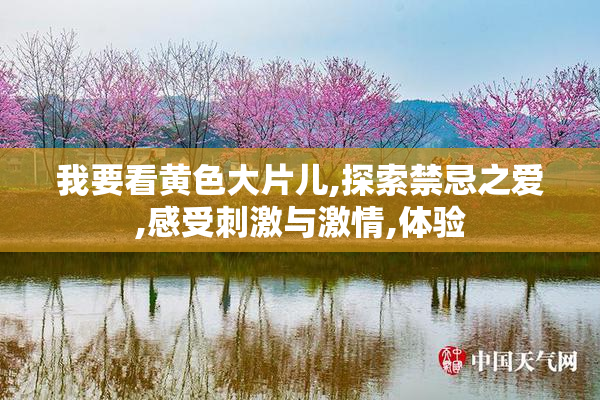 我要看黄色大片儿,探索禁忌之爱,感受刺激与激情,体验