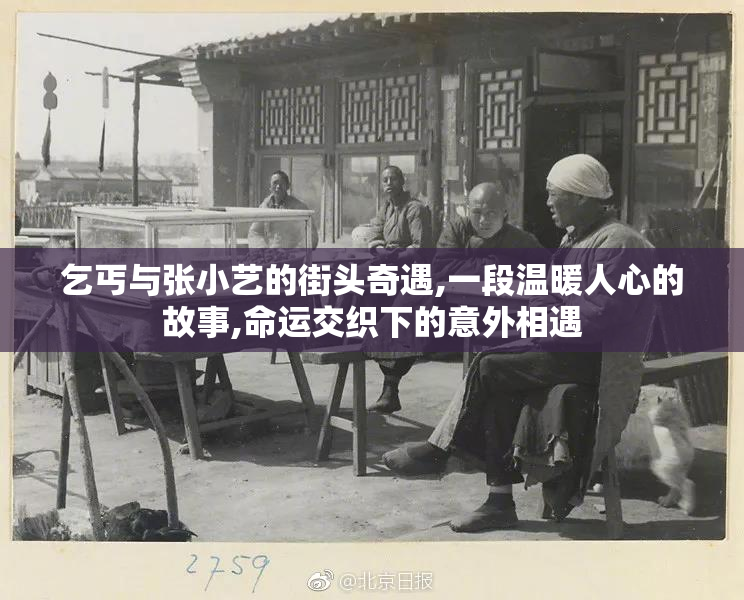 乞丐与张小艺的街头奇遇,一段温暖人心的故事,命运交织下的意外相遇