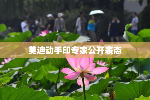 莫迪动手印专家公开表态