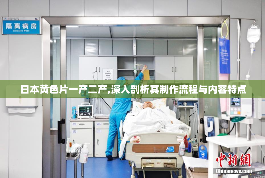 日本黄色片一产二产,深入剖析其制作流程与内容特点