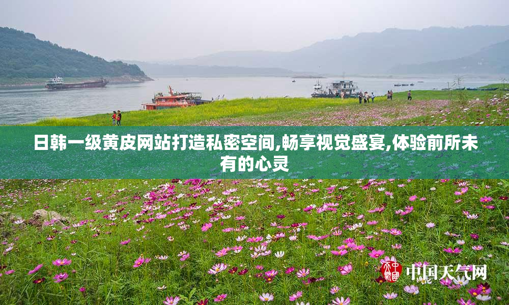 日韩一级黄皮网站打造私密空间,畅享视觉盛宴,体验前所未有的心灵