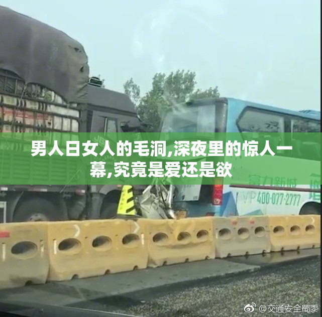 男人日女人的毛洞,深夜里的惊人一幕,究竟是爱还是欲