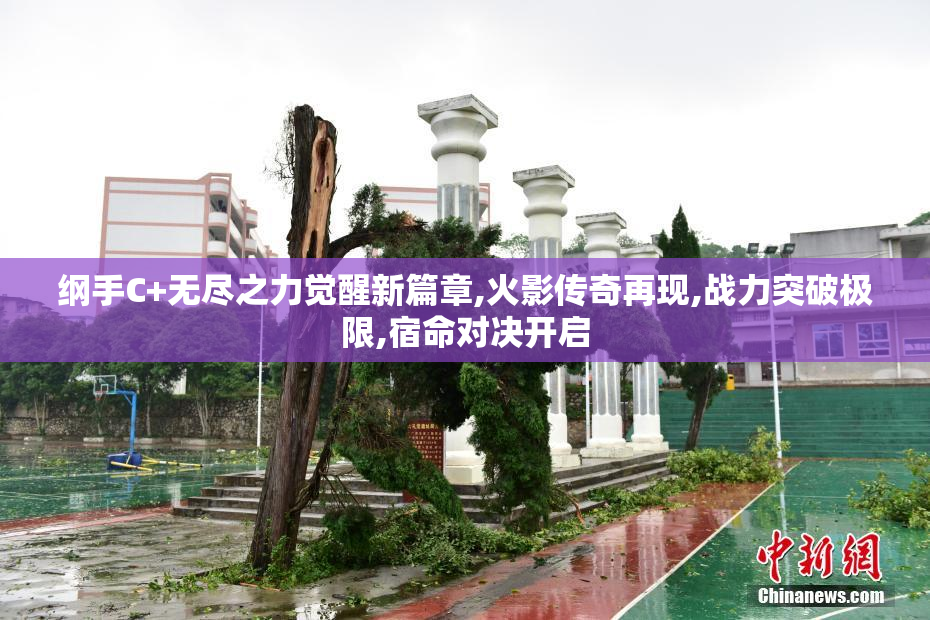 纲手C+无尽之力觉醒新篇章,火影传奇再现,战力突破极限,宿命对决开启