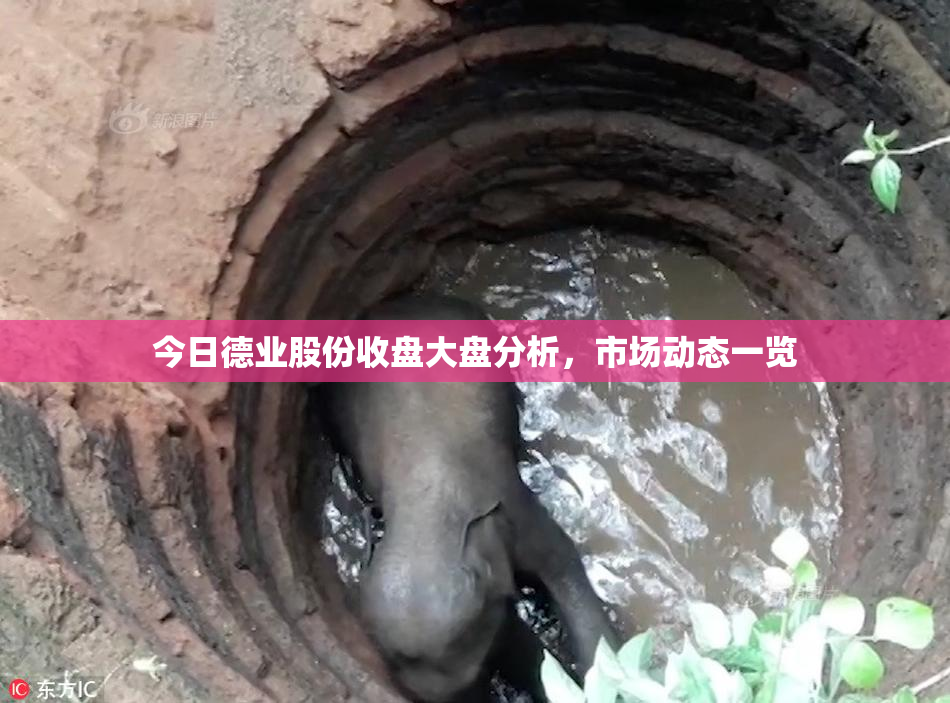 今日德业股份收盘大盘分析，市场动态一览