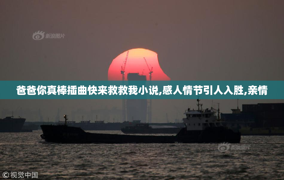爸爸你真棒插曲快来救救我小说,感人情节引人入胜,亲情