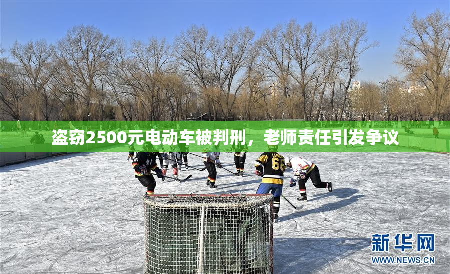 盗窃2500元电动车被判刑，老师责任引发争议