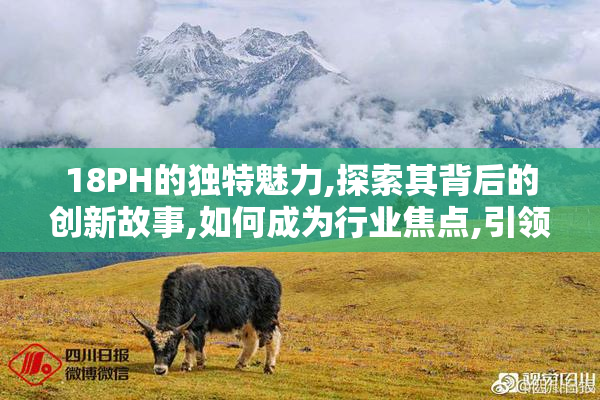 18PH的独特魅力,探索其背后的创新故事,如何成为行业焦点,引领潮流