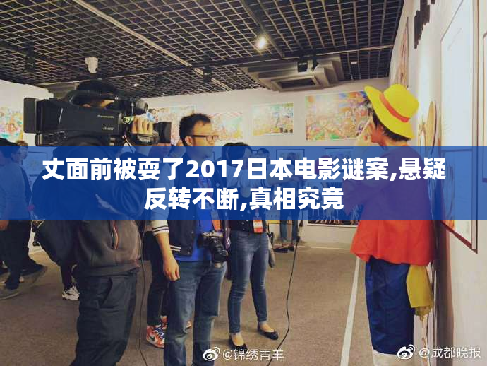 丈面前被耍了2017日本电影谜案,悬疑反转不断,真相究竟