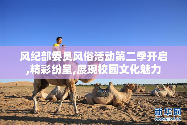风纪部委员风俗活动第二季开启,精彩纷呈,展现校园文化魅力
