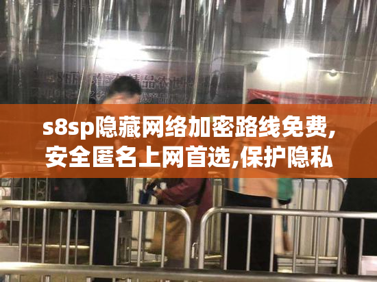 s8sp隐藏网络加密路线免费,安全匿名上网首选,保护隐私