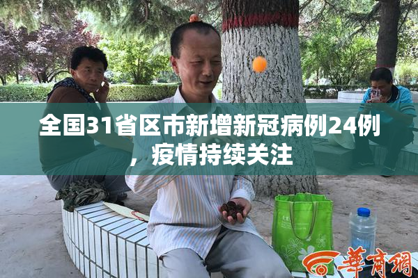 全国31省区市新增新冠病例24例，疫情持续关注
