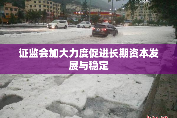 证监会加大力度促进长期资本发展与稳定