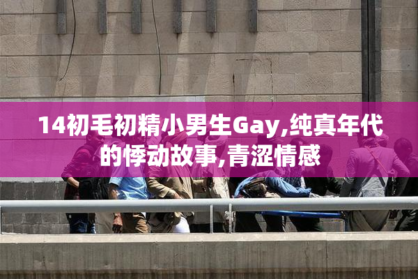 14初毛初精小男生Gay,纯真年代的悸动故事,青涩情感