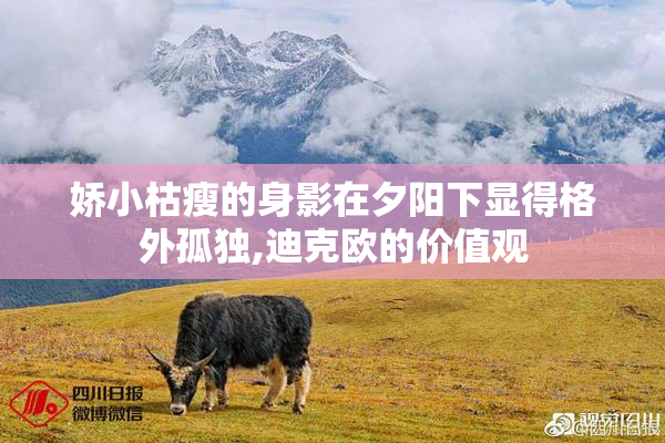 娇小枯瘦的身影在夕阳下显得格外孤独,迪克欧的价值观