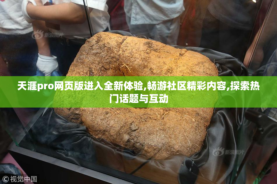 天涯pro网页版进入全新体验,畅游社区精彩内容,探索热门话题与互动