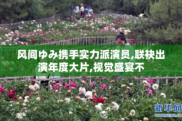 风间ゆみ携手实力派演员,联袂出演年度大片,视觉盛宴不