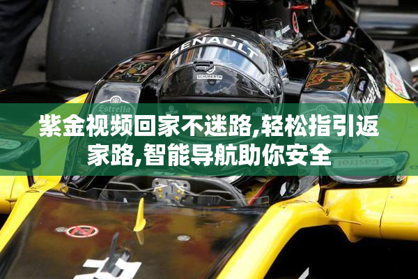 紫金视频回家不迷路,轻松指引返家路,智能导航助你安全