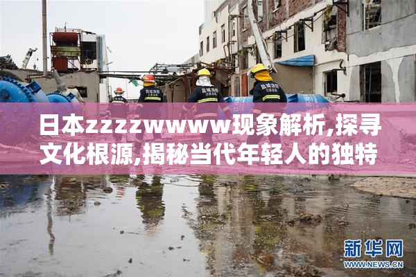 日本zzzzwwww现象解析,探寻文化根源,揭秘当代年轻人的独特表达方式