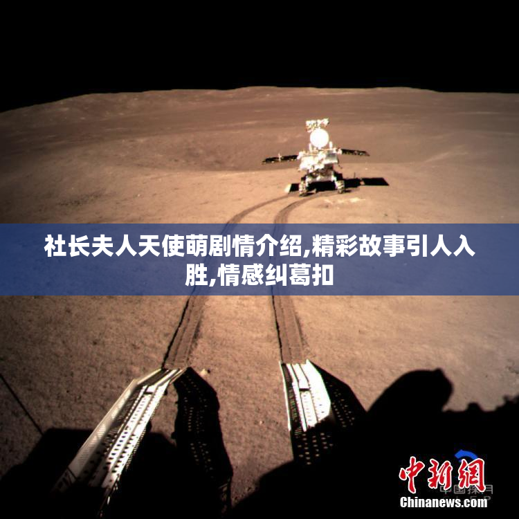 社长夫人天使萌剧情介绍,精彩故事引人入胜,情感纠葛扣
