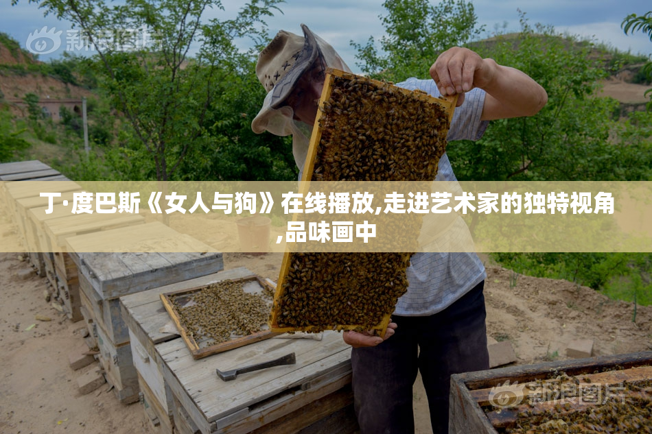丁·度巴斯《女人与狗》在线播放,走进艺术家的独特视角,品味画中