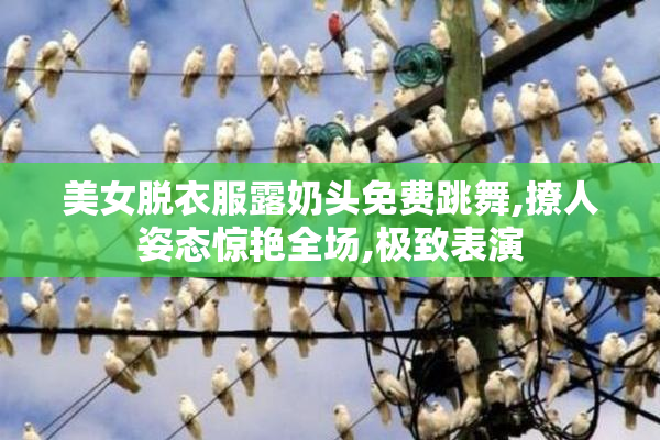美女脱衣服露奶头免费跳舞,撩人姿态惊艳全场,极致表演