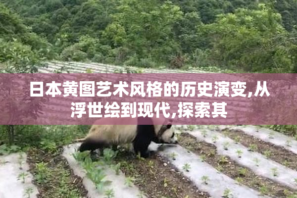 日本黄图艺术风格的历史演变,从浮世绘到现代,探索其
