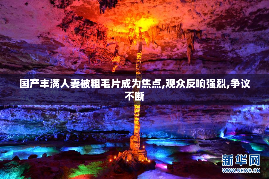 国产丰满人妻被粗毛片成为焦点,观众反响强烈,争议不断