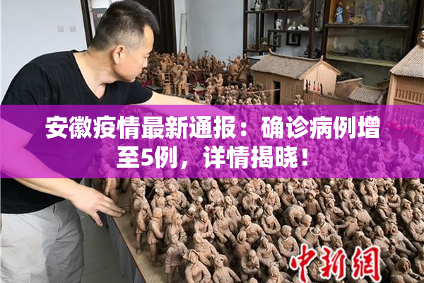 安徽疫情最新通报：确诊病例增至5例，详情揭晓！