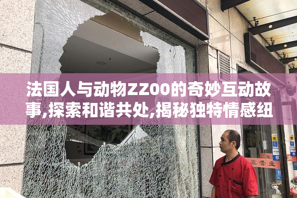 法国人与动物ZZ00的奇妙互动故事,探索和谐共处,揭秘独特情感纽带